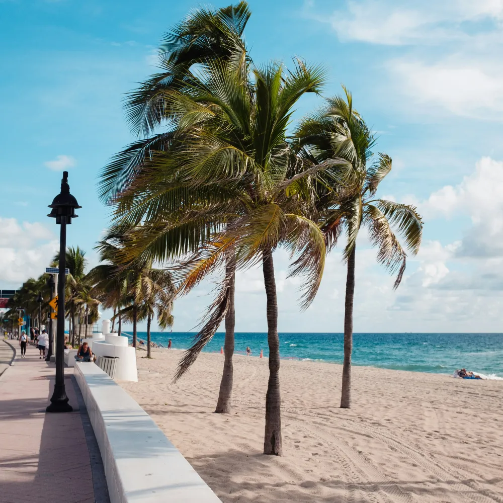 Palm trees line a sunny beach with a sandy shore and turquoise ocean under a blue sky.