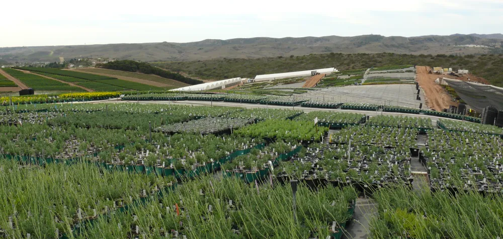 a group of people in a field