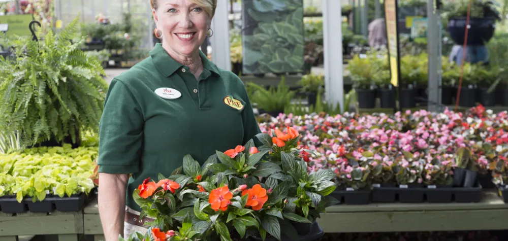 Pike Nurseries associate in greenhouse holding flat of new guinea impatiens