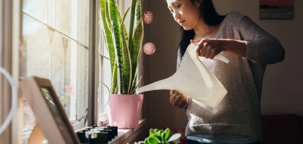 a person standing in front of a window