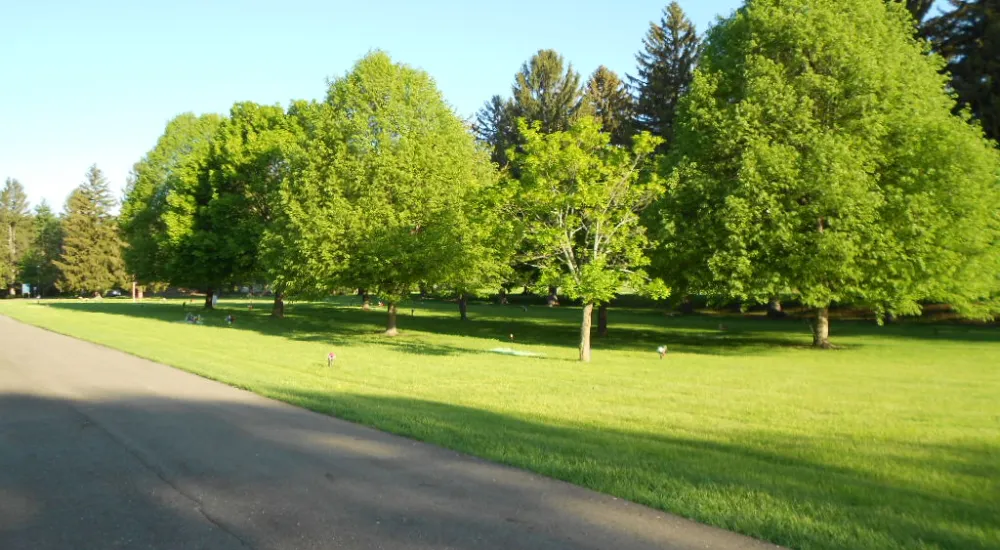 a grassy area with trees in the background