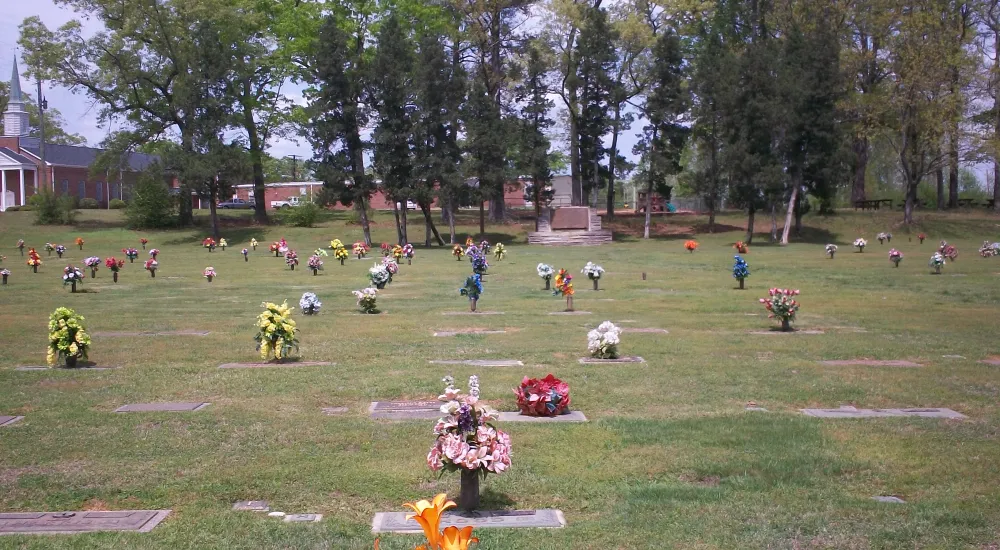 a large grassy field with people in it and flowers in the front
