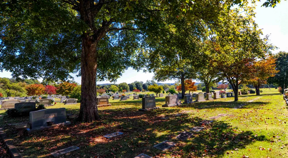 a cemetery with trees and grass