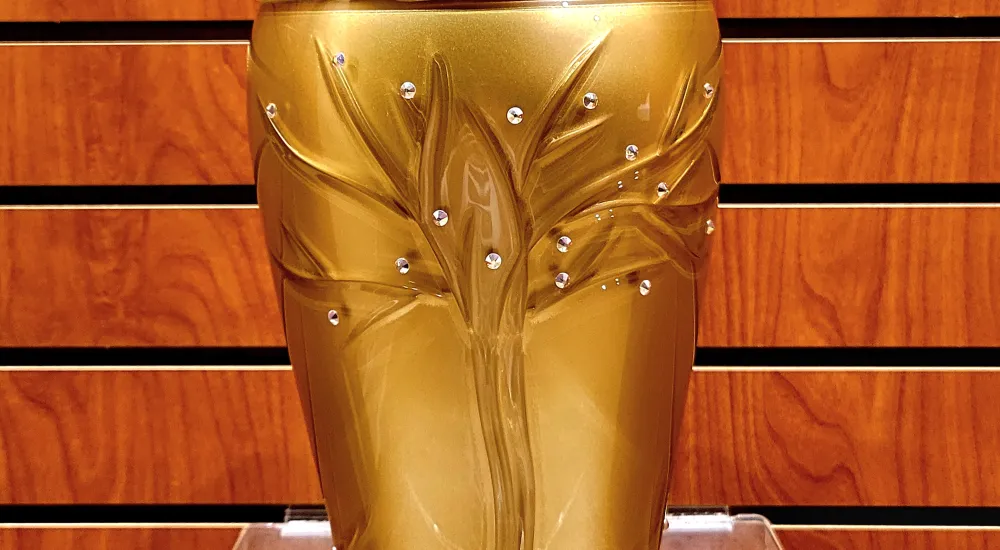 a glass vase with water