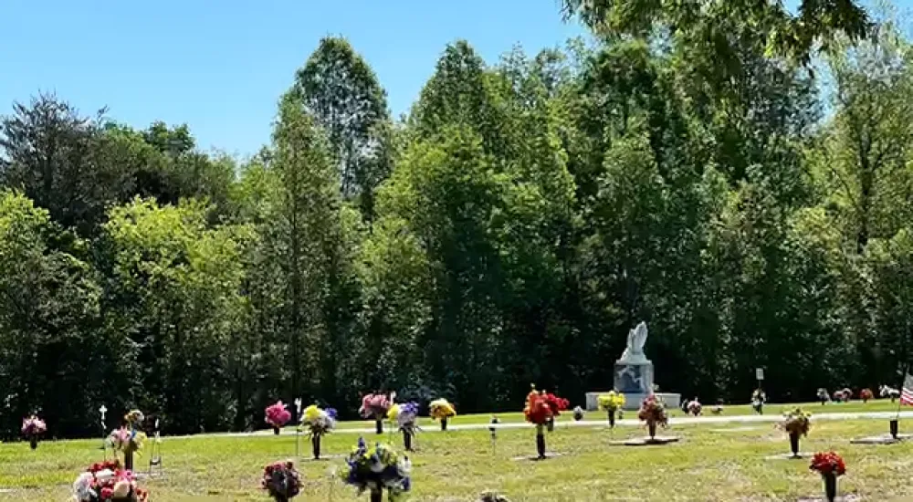 a group of people in a park