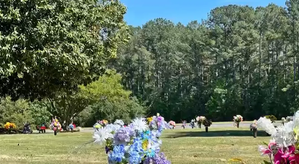 a group of people walking in a park with trees and flowers