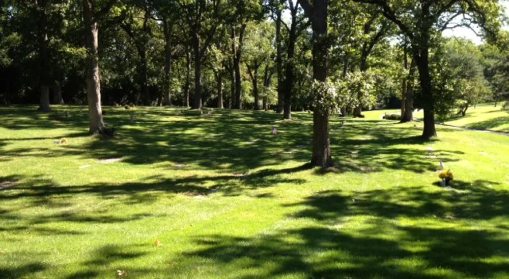 a grassy area with trees in the back