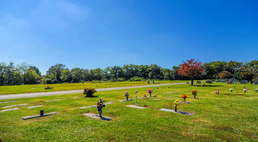 a group of people playing in a park