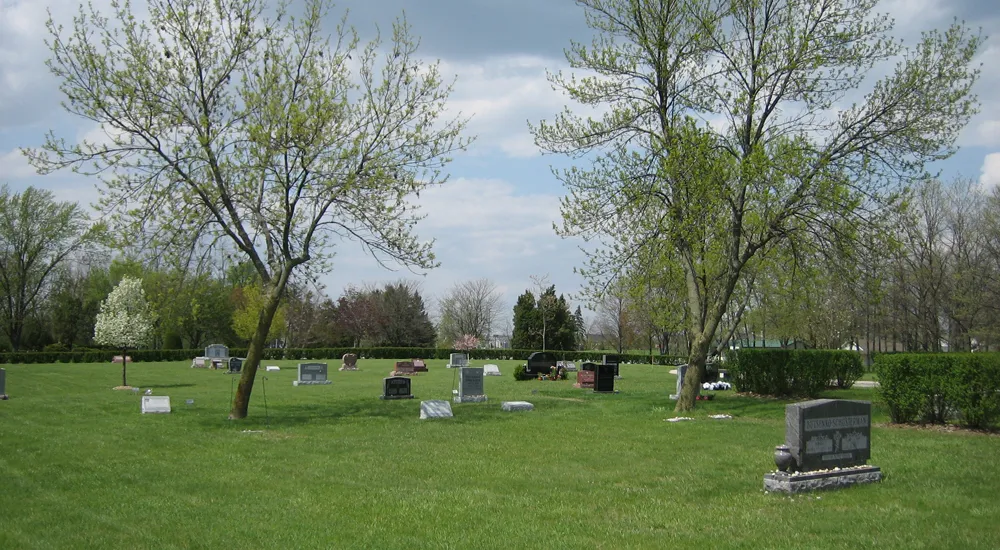 a cemetery with trees and grass