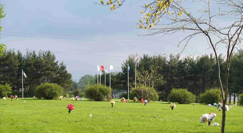 a group of people playing in a park