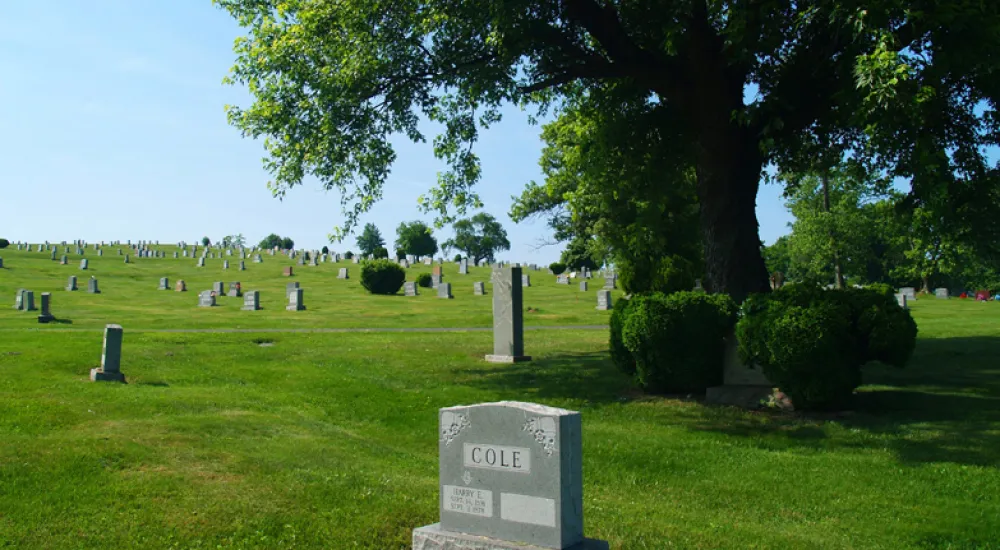 a cemetery with many headstones