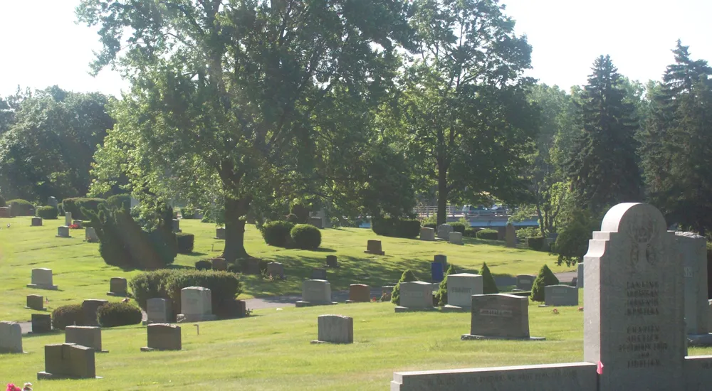 a cemetery with many gravestones