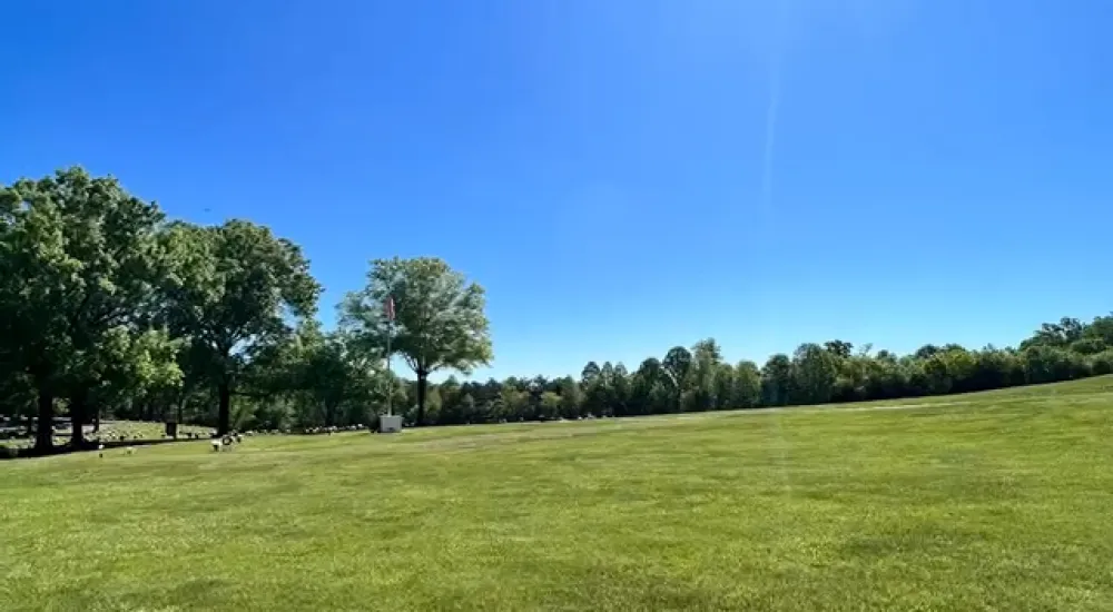 a grassy field with trees in the background