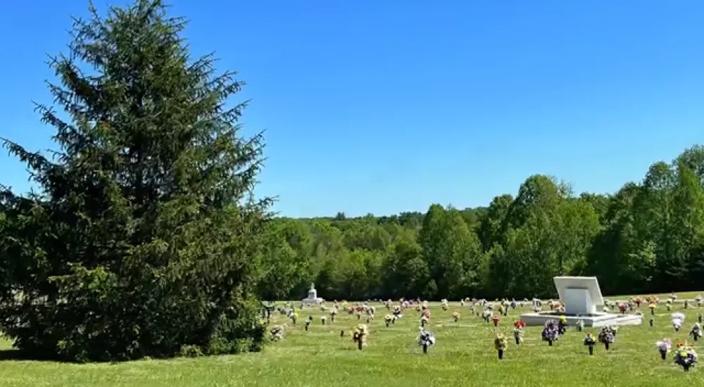 a group of people in a field