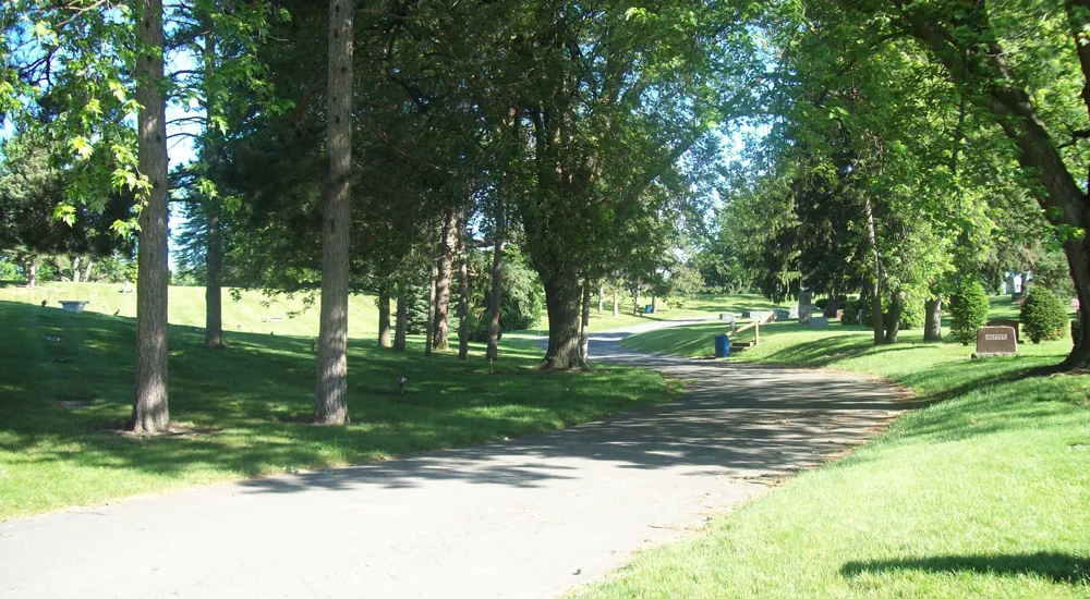 a path through a park