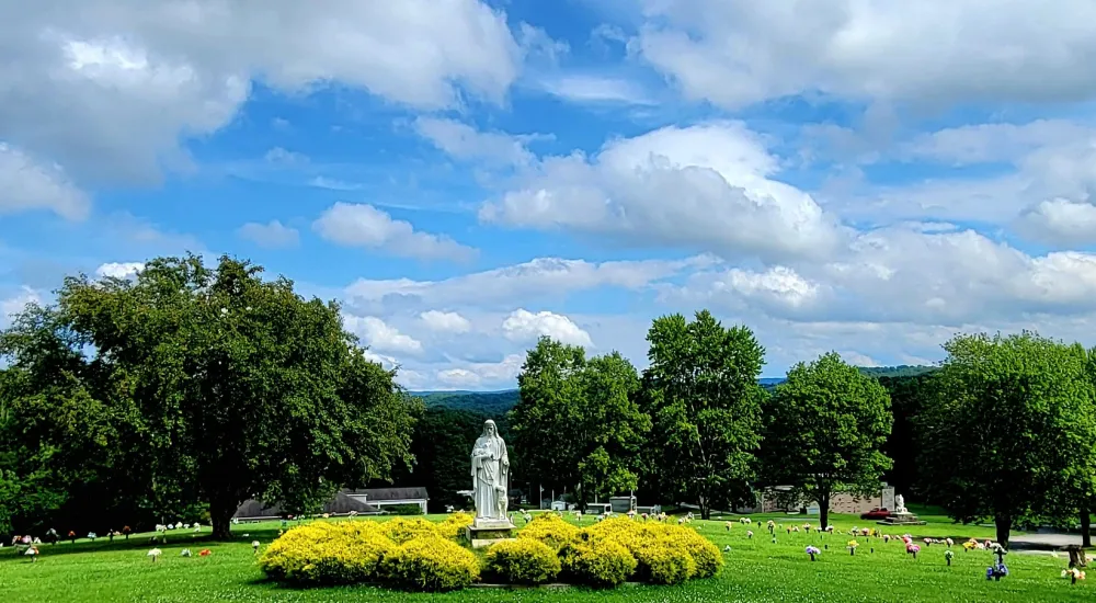 a large green park with trees and a statue in the middle
