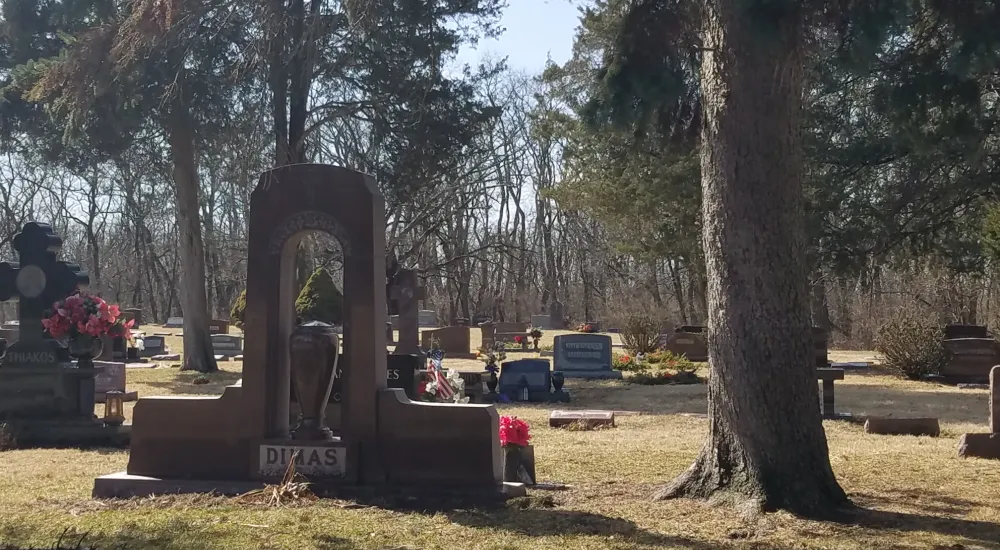 a cemetery with a large tree