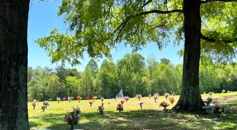 a group of people in a park