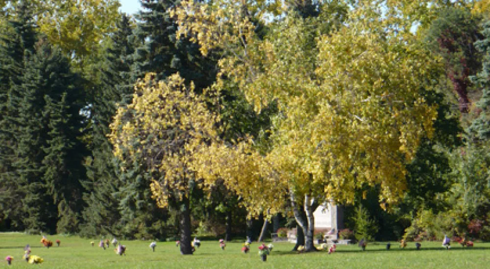 a group of people in a park