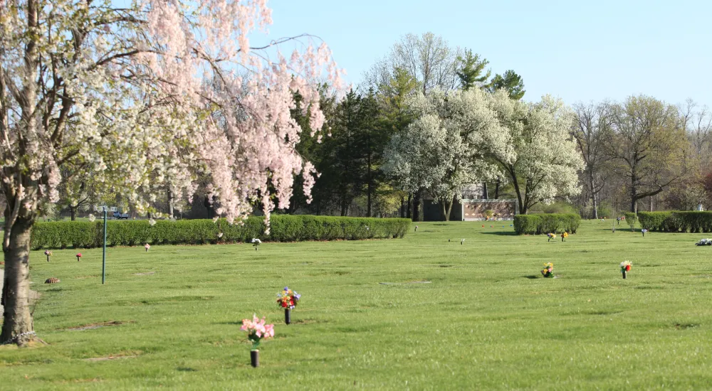 a large green lawn with trees and flowers