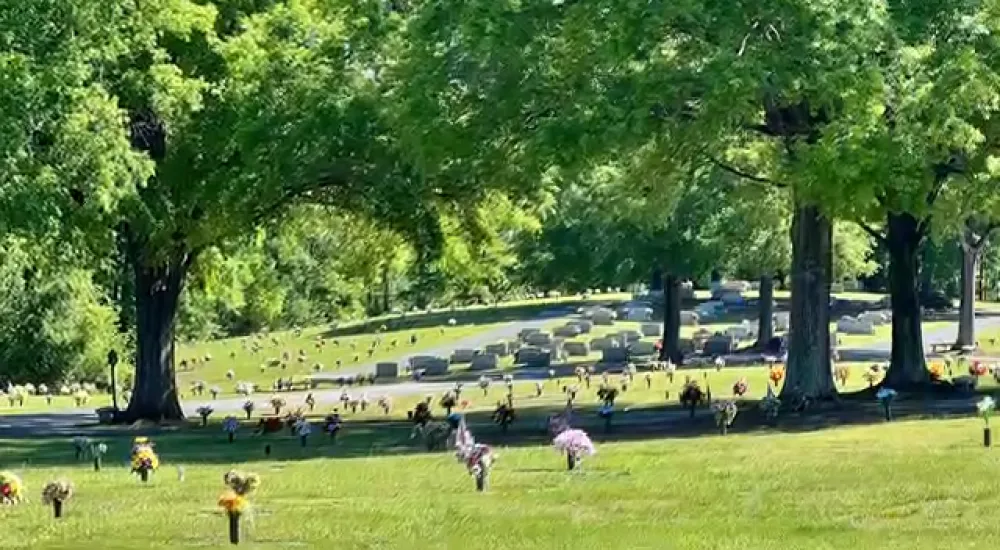 a group of people in a park