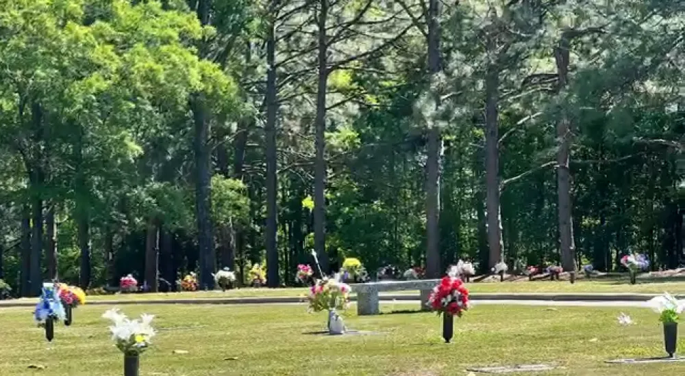 a park with flowers