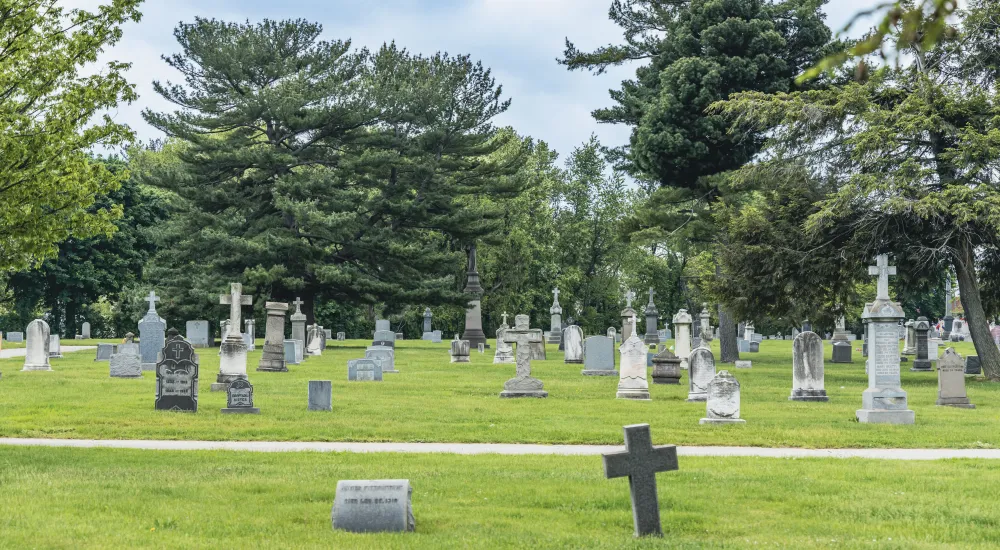 a cemetery with many headstones