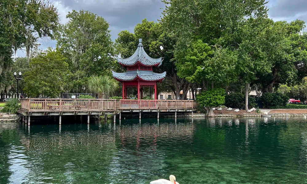 White swan swimming on clear lake near red pagoda and green trees under a cloudy blue sky.