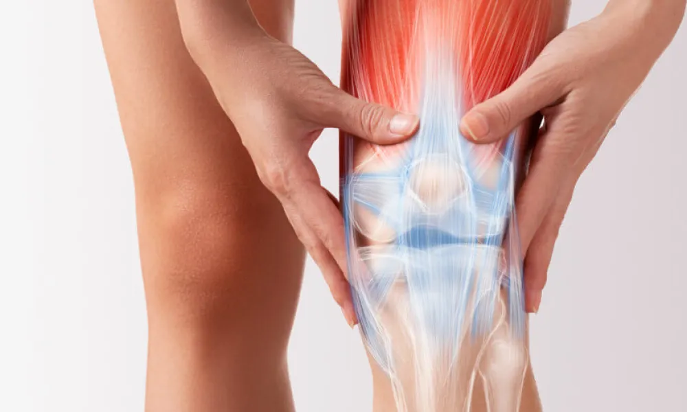 Knee Arthroscopy/Meniscectomy: The Process