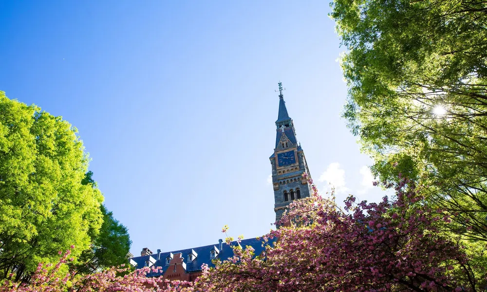 Historic clock tower framed by blooming cherry blossoms and green trees under a clear blue sky.