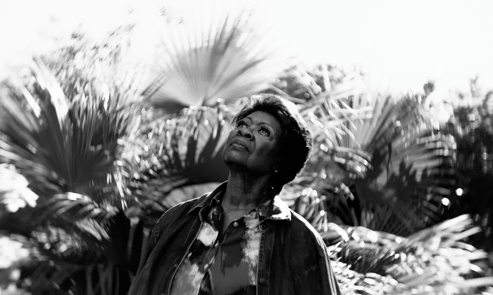 Black and white photo of a woman looking up surrounded by large palm leaves in soft light.