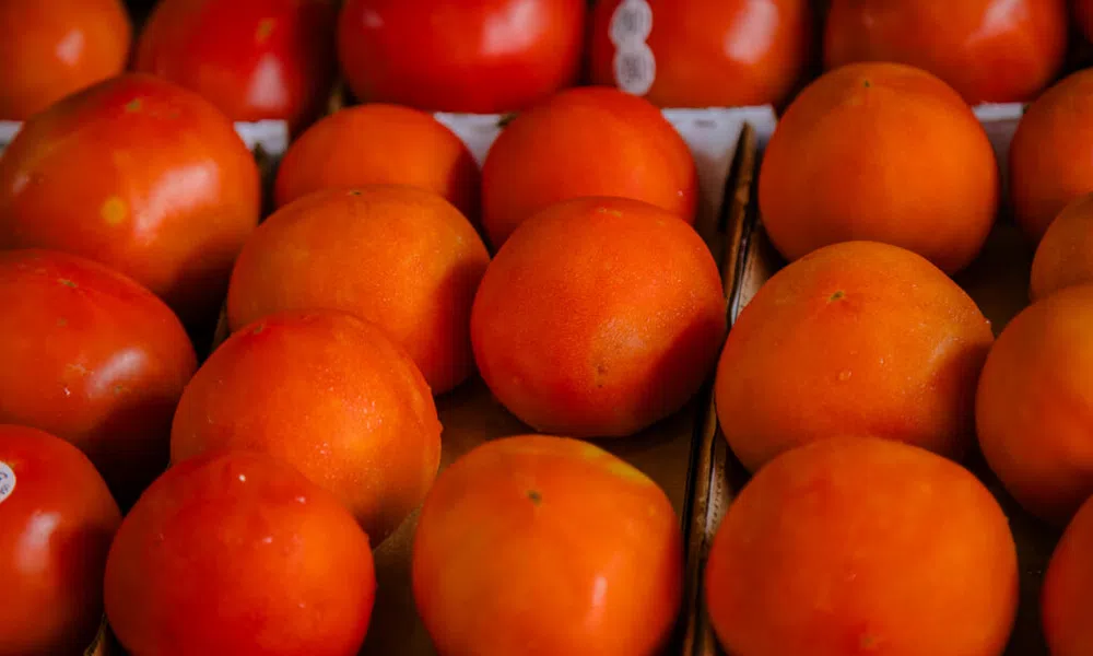 Fresh ripe tomatoes displayed in cardboard trays at a market, showcasing vibrant orange-red colors and smooth texture.