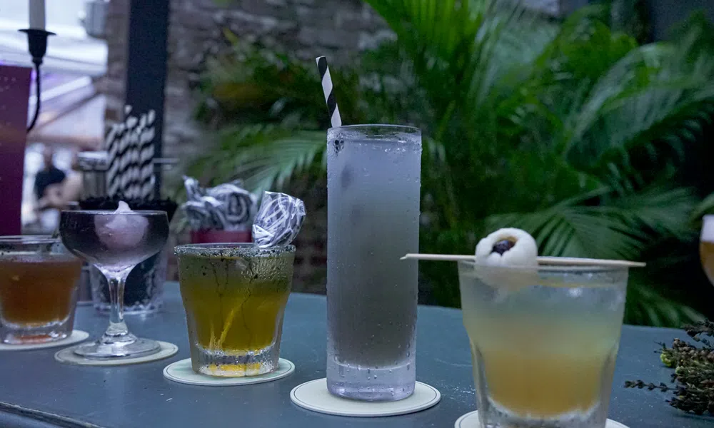 Assorted cocktails in different glasses on a bar counter with greenery in the background at dusk.