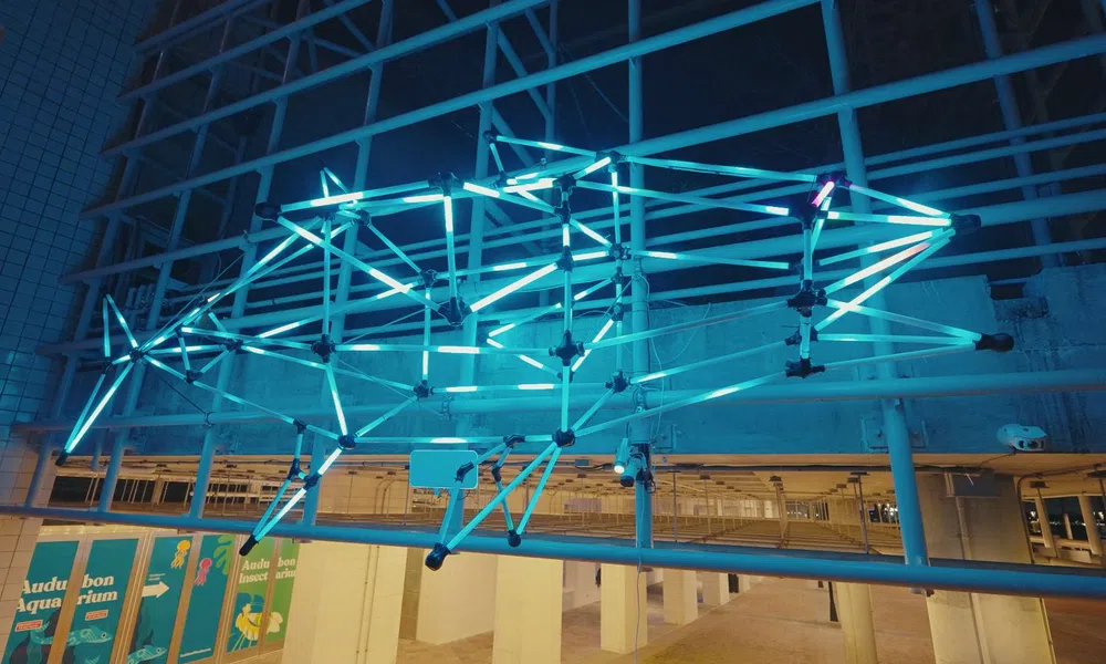 Glowing blue neon light sculpture in the shape of a fish suspended indoors with visible beams and fluorescent tubes.