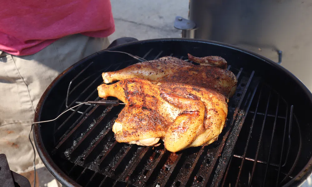Spatchcock chicken seasoned and grilling on a charcoal barbecue with a probe thermometer inserted.