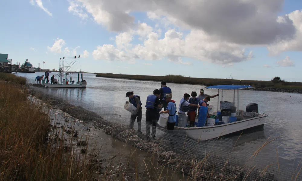 Group of people working on a boat near a marshy shoreline under a cloudy sky during daytime