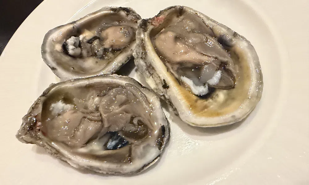 Three fresh raw oysters served on a white ceramic plate ready to eat seafood delicacy.