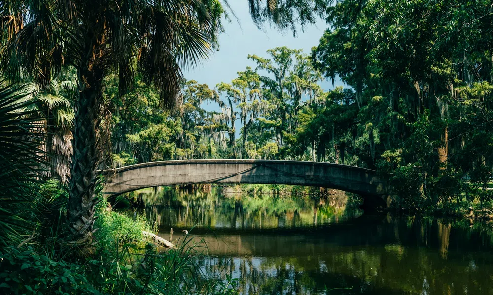 Concrete bridge over calm river surrounded by dense green trees and hanging Spanish moss on a sunny day