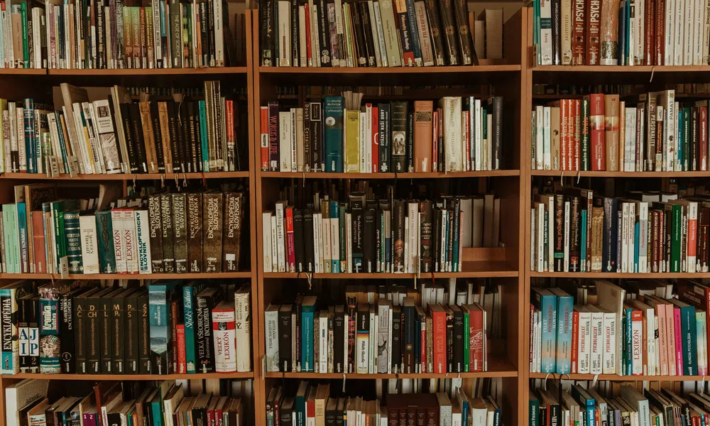 Wooden bookshelves filled with a variety of books organized by size and color in a cozy library setting
