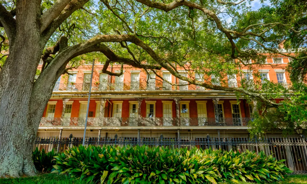 Historic red brick building with intricate iron balconies, large tree and lush green plants in foreground