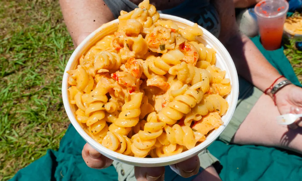 A close-up of a person holding a bowl of creamy spiral pasta with chicken and seasoning.