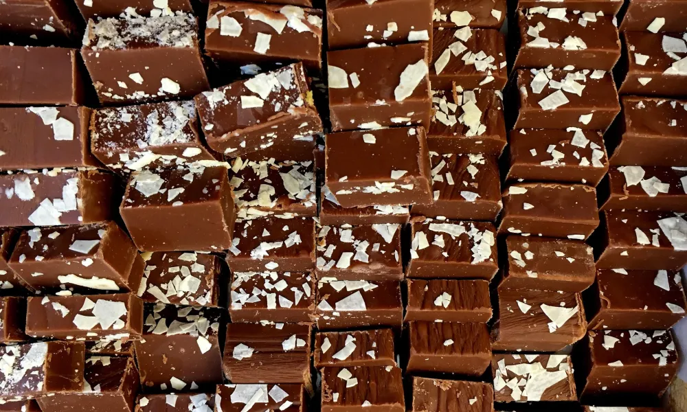 Close-up of bite-sized chocolate cubes topped with white flakes arranged in rows.