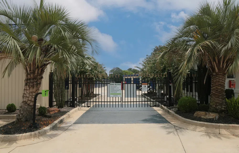 Black metal security gate entrance framed by two palm trees with clear blue sky above.