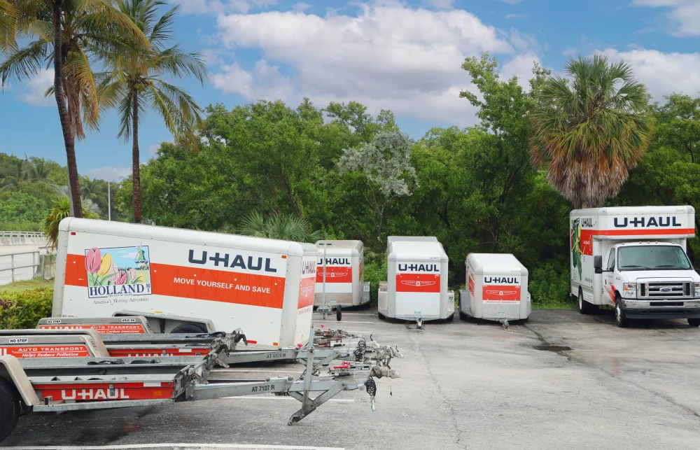 a dog walking on a road with a group of white trucks