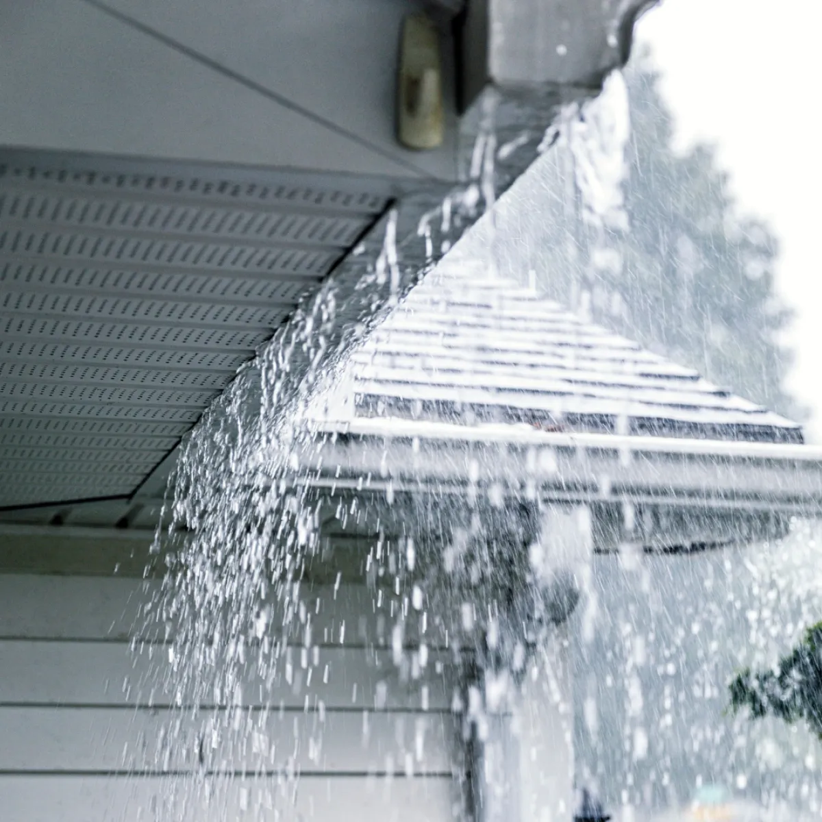 Gutter Cleaning & Pressure Washing Blog Team Advanced Advanced