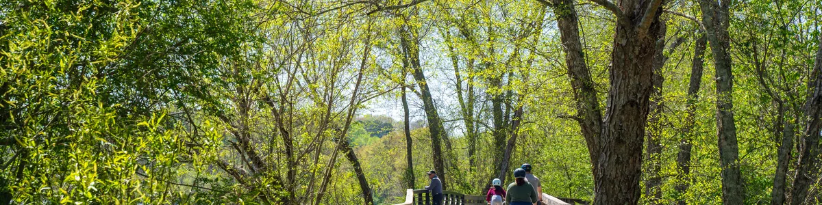 a group of people walking on a bridge in the woods in Roswell, GA