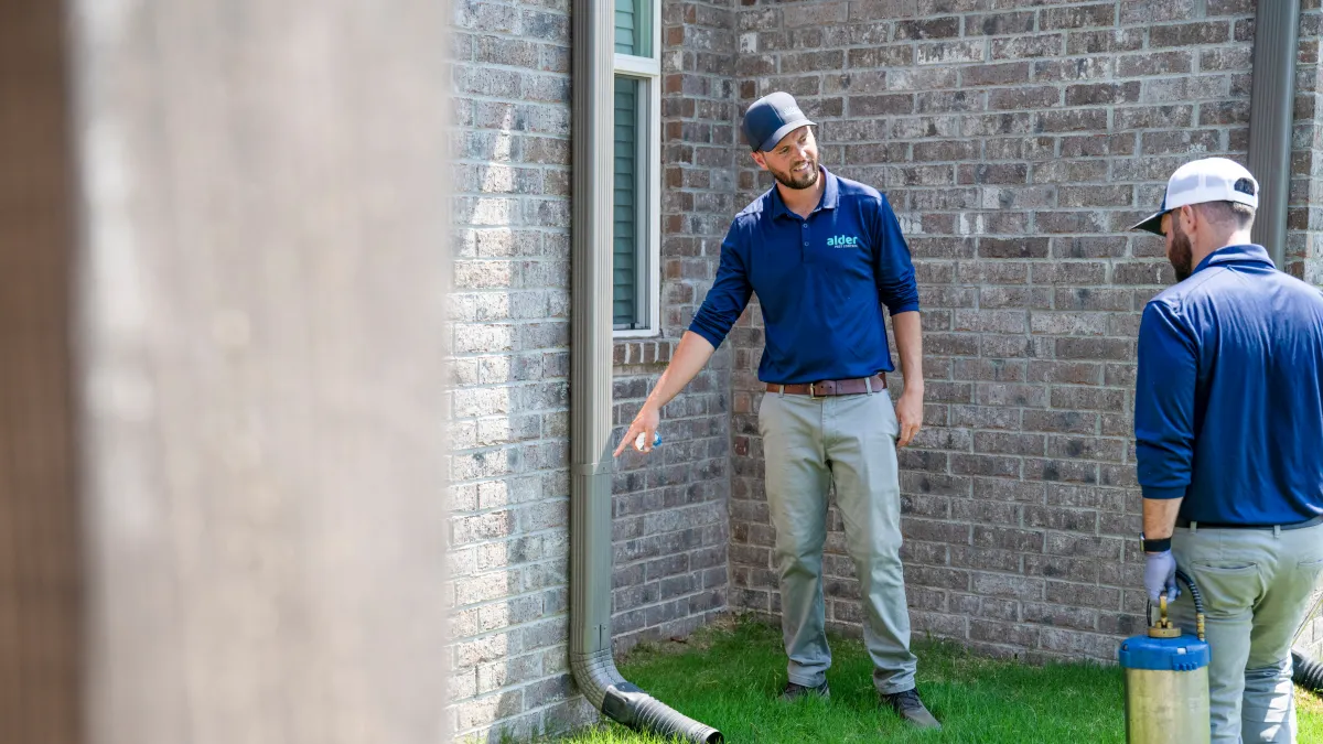 Two professionals inspecting a drainage pipe next to a house on a sunny day.
