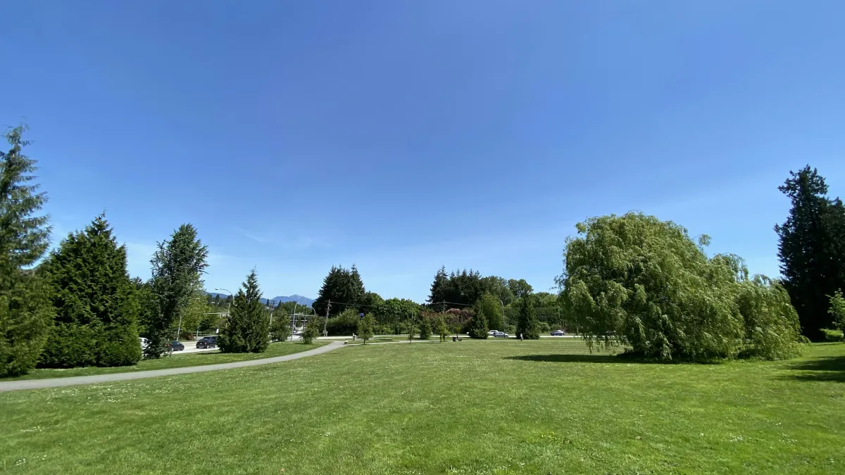 Sunny park with green grass, scattered trees, and a clear blue sky on a bright day.