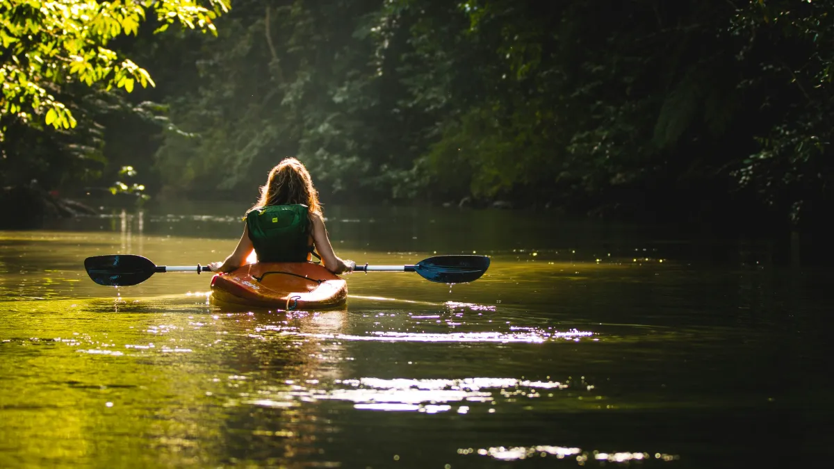 Person kayaking on calm river surrounded by lush green trees in warm sunlight reflection.
