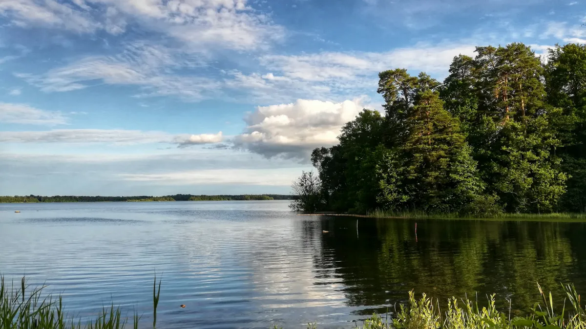 Calm lake surrounded by green trees under a partly cloudy blue sky with reflections on the water surface